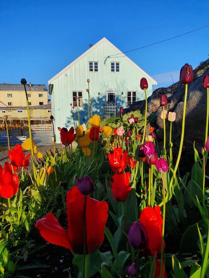 Bed and Breakfast Lysvoldbrygga Геннінґсвер Екстер'єр фото